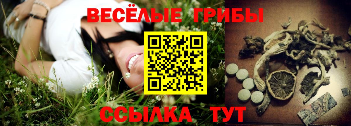 Псилоцибиновые грибы прущие грибы  наркота  Кумертау  Вход с VPN  Псилоцибиновые грибы ЛСД 